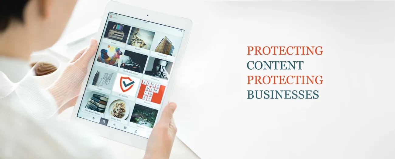 AiPlex Antipiracy - Protecting digital content and business revenue